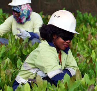 Notre politique environnementale